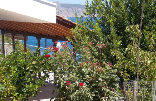 Korasida Blue Coast - Foto 14