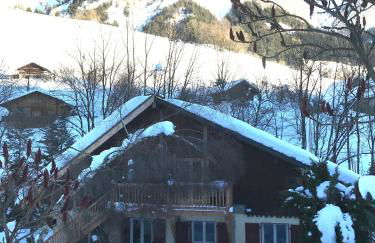Magnifique T3 entre lac et montagne près d'Annecy - Foto 16