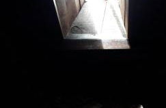 Flor de Pomar - Foto 59