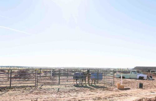 Dusty Rose The Wild West 40 Homestead - Foto 19