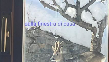 Bilocale relax in Cesana - Foto 3