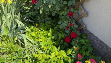 Barbie's House - Foto 2, Garden