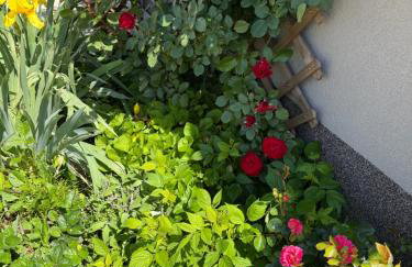 Barbie's House - Foto 2