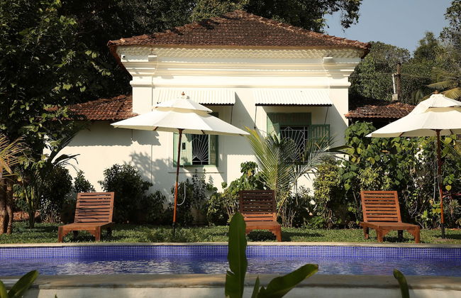 The Project Cafe Goa - Photo 17