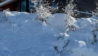 Chalet Charmant rénové au bord du Lac St Point - Foto 3
