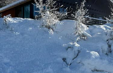Chalet Charmant rénové au bord du Lac St Point - Foto 3