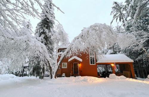 21 Mi to Gore Mtn Adirondack Oasis with Sauna - Foto 1