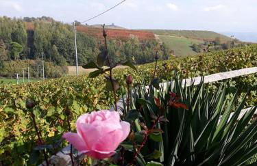 Cà Du Ruja - Foto 43