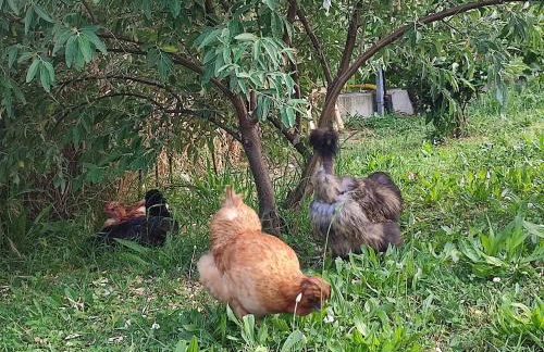 La Casa di Stefania LOFT - Foto 40