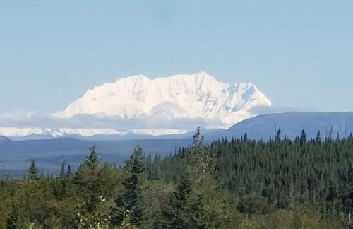 Denali Wild Stay - Bear Cabin with Hot Tub and Free Wifi, Private, sleep 6 - Foto 32