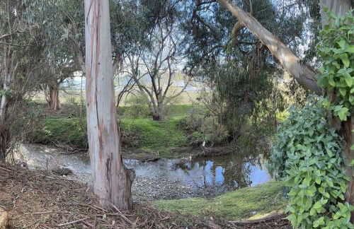 Coastal Tiny House 2 Queen Beds low loft - Foto 20