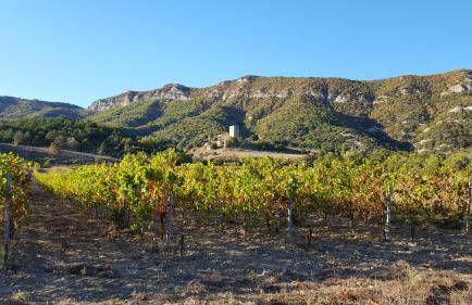 Gîtes du Château d'Alençon - Photo 18