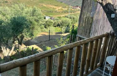 maison du olival - Foto 14