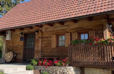 Javor Holiday House - Foto 5