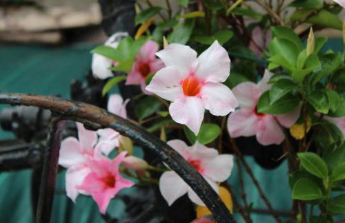 Apartamento Rural Oizalde - Foto 9