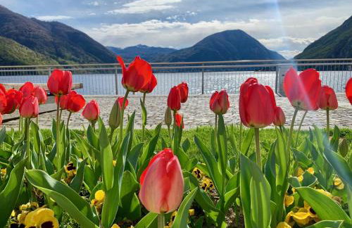 Old Porlezza Apartment - Photo 42