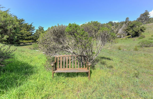 Meadow Lark - Foto 31