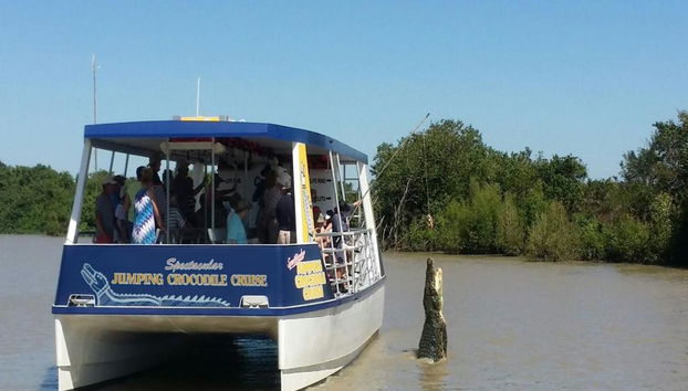 The True Territory Tour: Helicopter Flight, Airboat Ride, Jumping Crocodile Cruise and Lunch - Photo 2