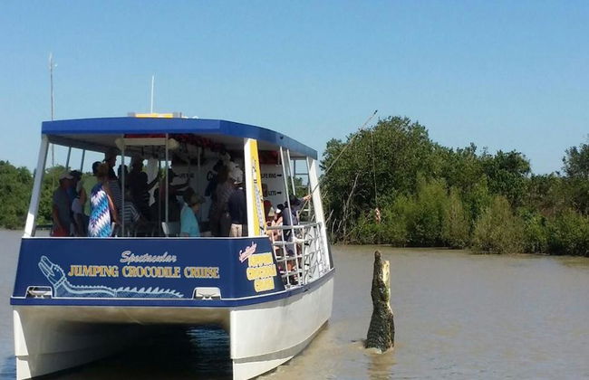 The True Territory Tour: Helicopter Flight, Airboat Ride, Jumping Crocodile Cruise and Lunch - Photo 2