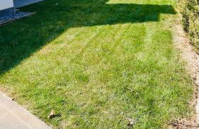 Spa and Relax Lovely Apartment - Foto 18