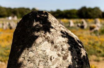 La Vedette - Les Gîtes de KEROUZEC - Mer et centre historique - Foto 31