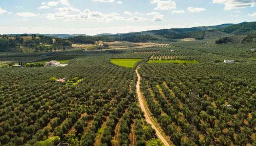 Residence Villantica - Photo 4