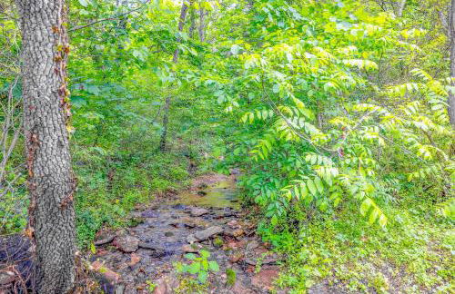 Waterfront Cabin 20 Mins to National Park & Massanutten! - Foto 73