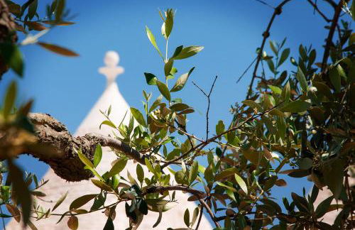 Trulli Loco - Foto 146