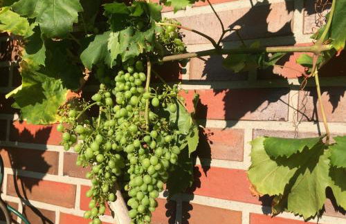 Ferienhaus Torsholt - Foto 33