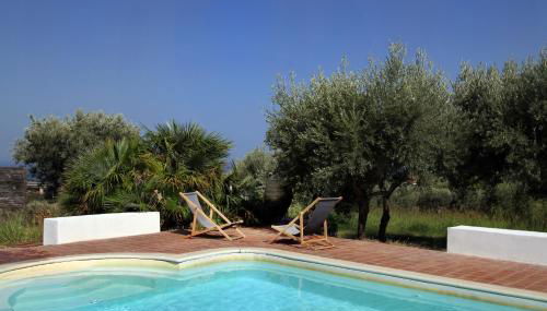 La Gabbianella E Il Gatto - Foto 2