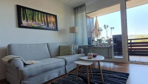 Black Forest Schwarzwaldliebe Pool Sauna Tennis Tischtennis Wifi Prime Tv Natur - Foto 3