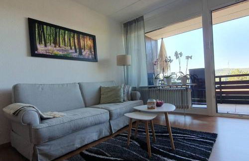 Black Forest Schwarzwaldliebe Pool Sauna Tennis Tischtennis Wifi Prime Tv Natur - Foto 3