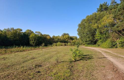 Augustówka - letnisko na Wrzosowiskach - Foto 54