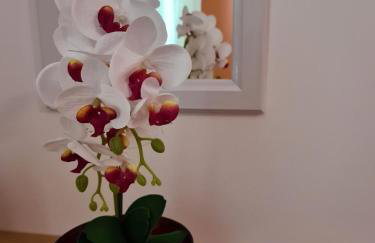 Villa Antonio - Photo 30