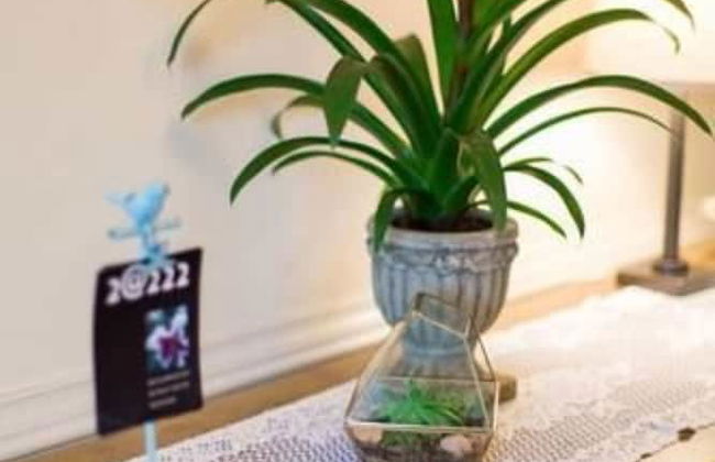 Garden Oasis Near Downtown - Photo 26