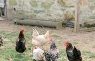 Ocean Heart Studio- Luxury, Rural Retreat - Foto 20