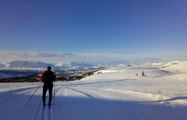 Blazerbu - Cabin for 8 persons - Hol - Foto 10