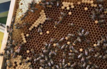 Casa Baldoni - Foto 34