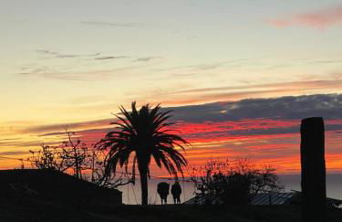 Falcon Crest - Photo 4