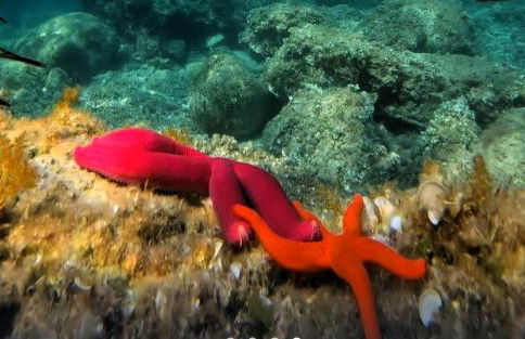 La Playa Del Sol Tropea - Foto 68