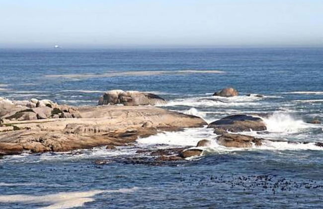 Holiday Apartment w Sea Views Pool CBT Suite - Photo 27