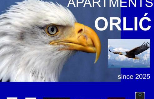 Apartments Orlić - Self check-in with code, WI-FI, Netflix, smart TV, garden, terrace - Photo 46