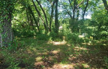 Aetna Silva - Photo 31