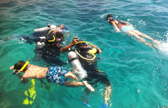 Shark Bay Oasis - Foto 40