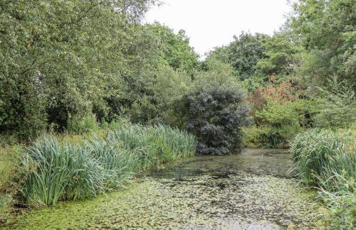 Aunty Junes Cottage - Foto 45