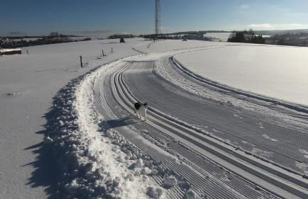 Ferienwohnung am Bärenstein - Foto 17
