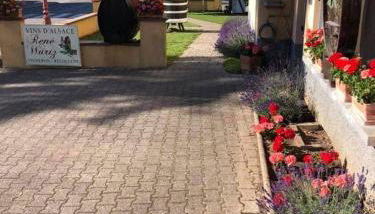 Gite Au Nid de Cigognes - Foto 5