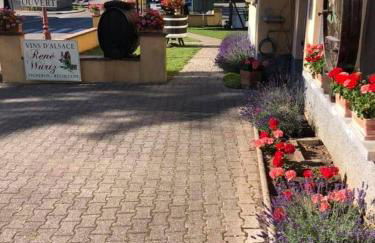 Gite Au Nid de Cigognes - Foto 5