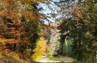 Le Logis de Pimpi - Foto 11