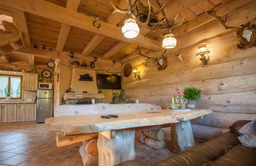 Chatka Ustrzyki - Foto 51